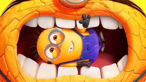 神偷奶爸 1-4部+小黄人大眼萌