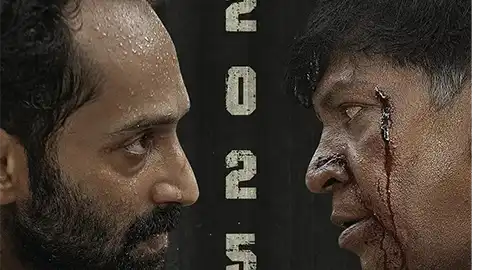妄人妄途2025