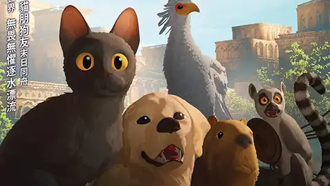 猫猫的奇幻漂流 Straume (2024)【8.4】