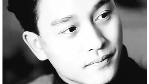 张国荣电影合集46部